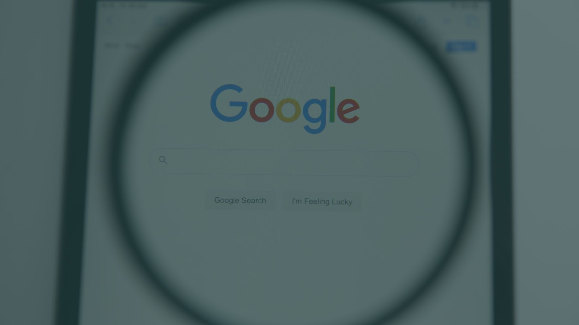 how to turn off ai overview on google search results